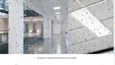 Screenshot of Non-Delivery scam website Noxionpascher.com