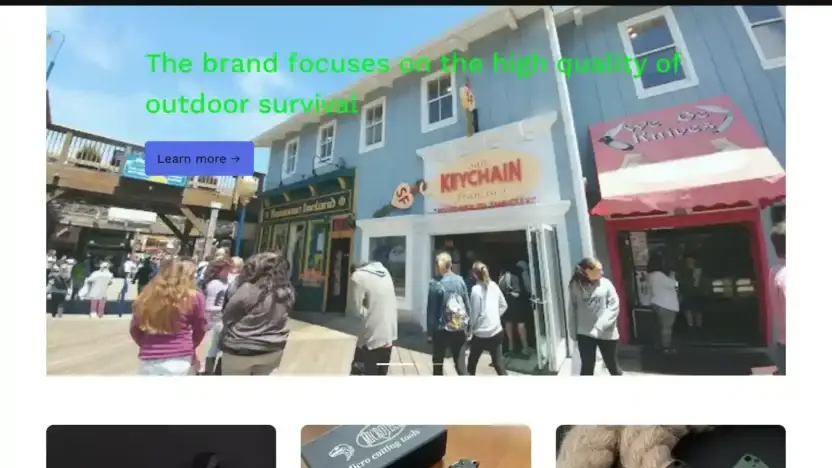 Screenshot of Non-Delivery scam website Nsknife.com