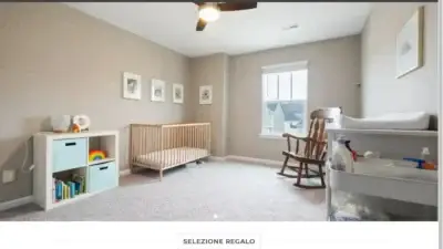 Screenshot of Non-Delivery scam website Nuovapinolino.com