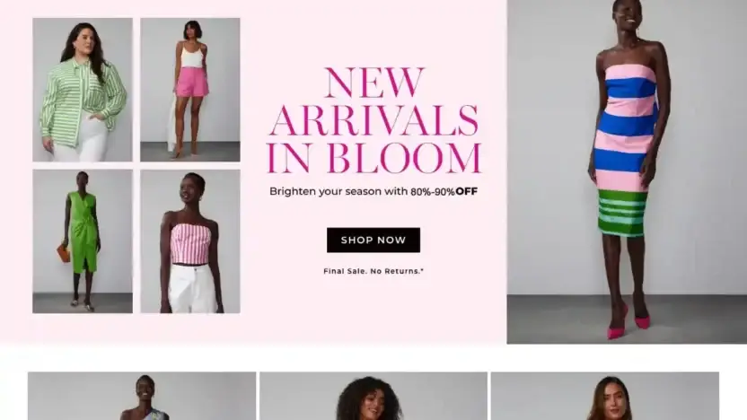 Screenshot of Non-Delivery scam website Nyandcompanyus.shop