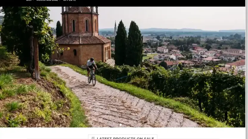 Screenshot of Non-Delivery scam website Offertebici.com