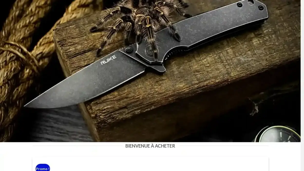 Screenshot of Non-Delivery scam website Offrescouteaux.com