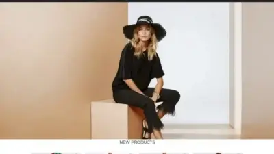 Screenshot of Non-Delivery scam website Offvoguegoods.com