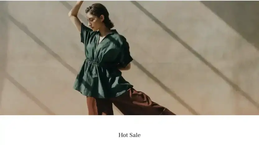 Screenshot of Non-Delivery scam website Oldnavywintersale.com