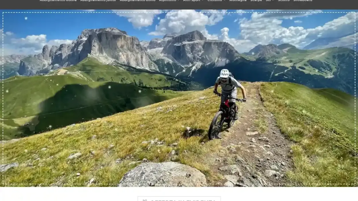 Screenshot of Non-Delivery scam website Onlinebiciclette.com