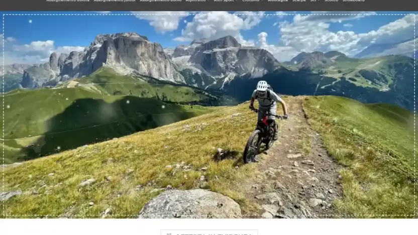 Screenshot of Non-Delivery scam website Onlinebiciclette.com