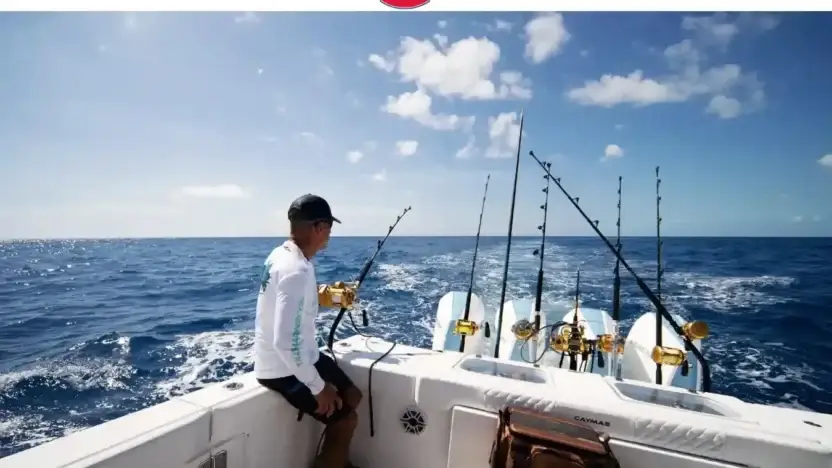 Screenshot of Non-Delivery scam website Onlinesaleshop.shop