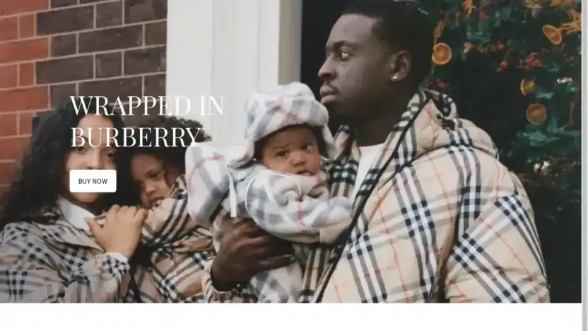 Screenshot of Non-Delivery scam website Onlinesalesuk.shop