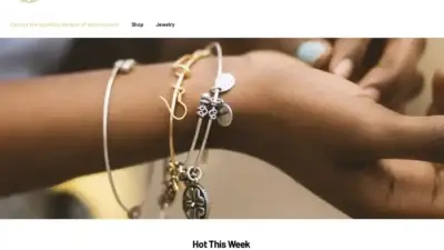 Screenshot of Non-Delivery scam website Onlinestylishstudio.com