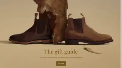 Screenshot of Non-Delivery scam website Onlinevipsalestore.shop