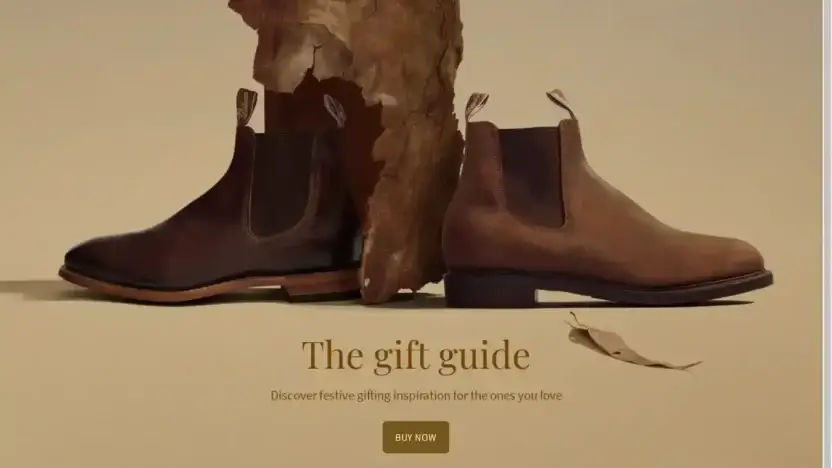 Screenshot of Non-Delivery scam website Onlinevipsalestore.shop