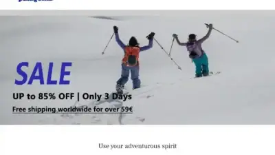 Screenshot of Non-Delivery scam website Onsalepatagonia.com