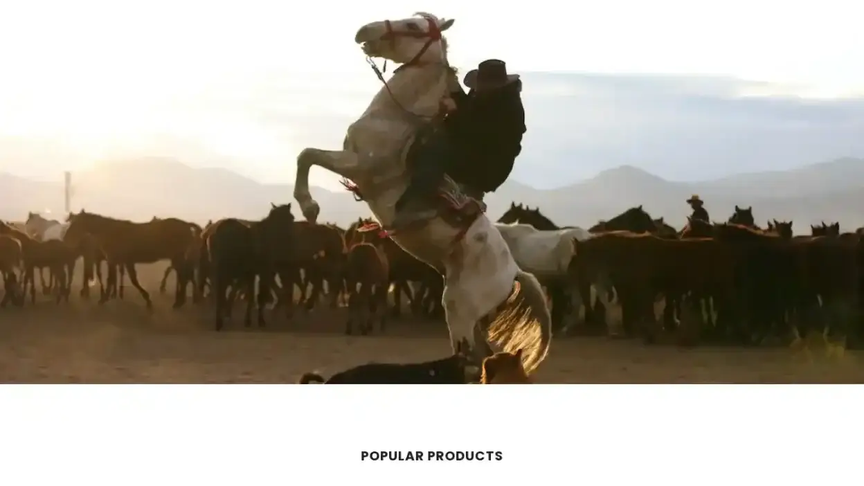 Screenshot of Non-Delivery scam website Optvogueland.com