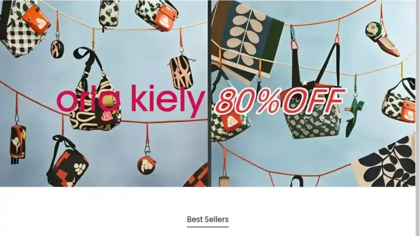 Screenshot of Non-Delivery scam website Orlakiely.shop