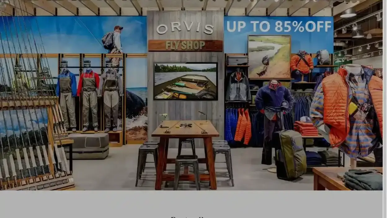 Screenshot of Non-Delivery scam website Orvissale-eu.shop