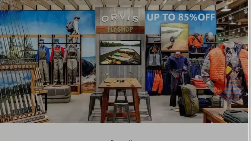 Screenshot of Non-Delivery scam website Orvissale-eu.shop