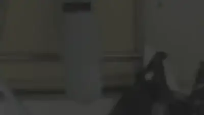 Screenshot of Automobile scam website Outboardautos.com