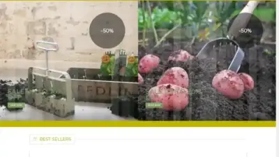 Screenshot of Non-Delivery scam website Outletgardener.com