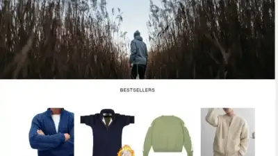 Screenshot of Non-Delivery scam website Outletseur.com