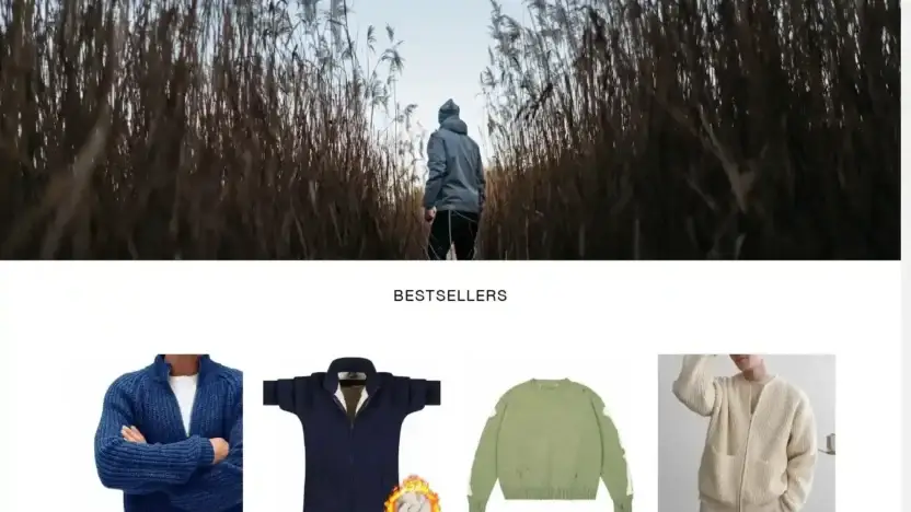 Screenshot of Non-Delivery scam website Outletseur.com