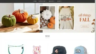 Screenshot of Non-Delivery scam website Palmettomoon.shop