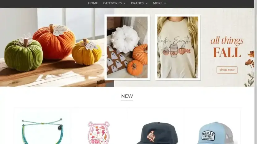 Screenshot of Non-Delivery scam website Palmettomoon.shop