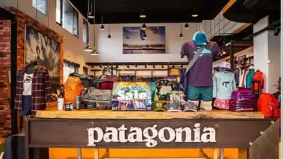 Screenshot of Non-Delivery scam website Patagoniaoutlets.com