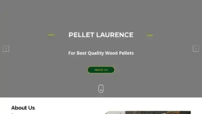 Screenshot of Non-Delivery scam website Pelletlaurence.com