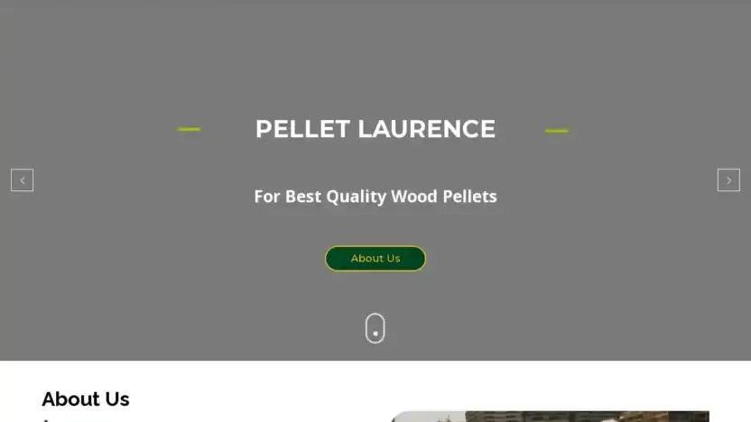 Screenshot of Non-Delivery scam website Pelletlaurence.com