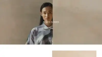 Screenshot of Non-Delivery scam website Petrichis.shop