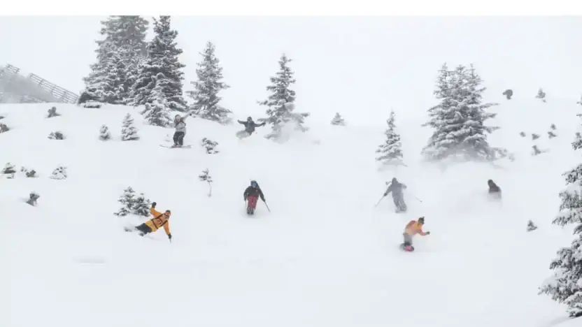 Screenshot of Commodity scam website Picturefr.shop