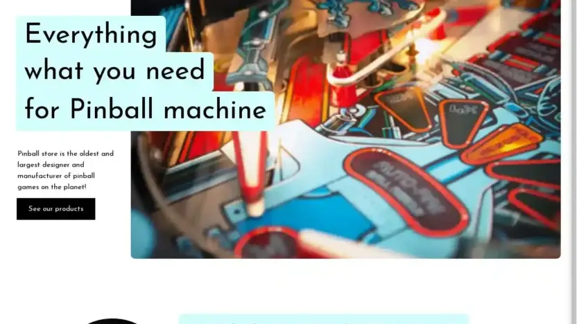 Screenshot of Non-Delivery scam website Pinball-store.com