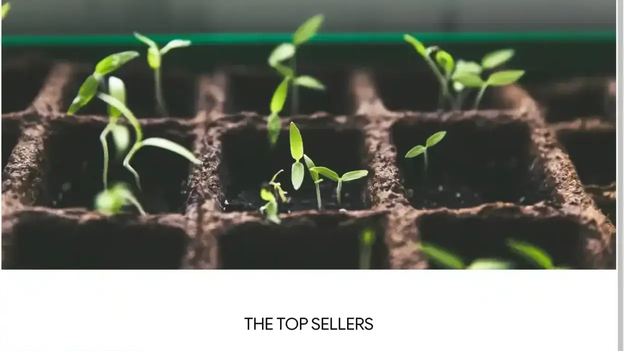 Screenshot of Non-Delivery scam website Plantsbester.com