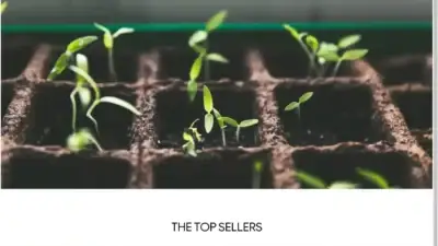 Screenshot of Non-Delivery scam website Plantsbester.com