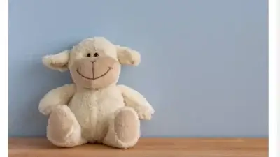 Screenshot of Non-Delivery scam website Playbesttoys.com