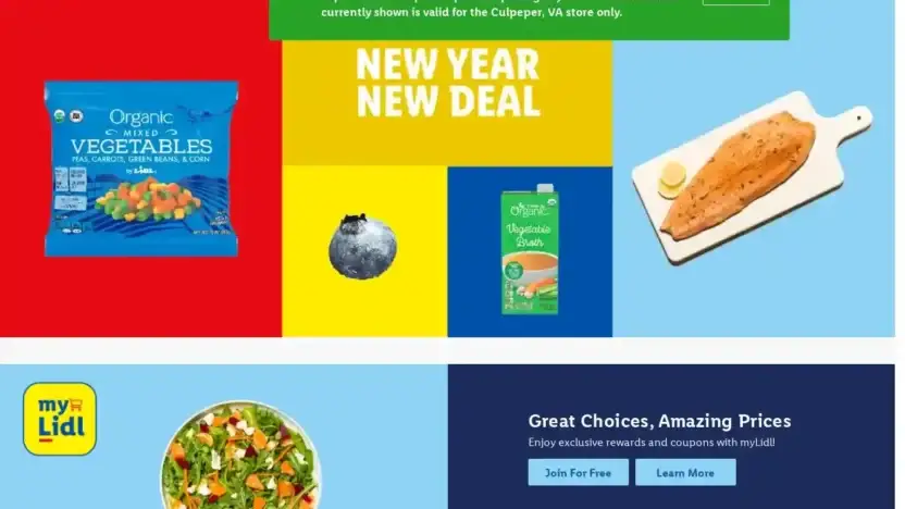 Screenshot of Non-Delivery scam website Playtivetoymall.com