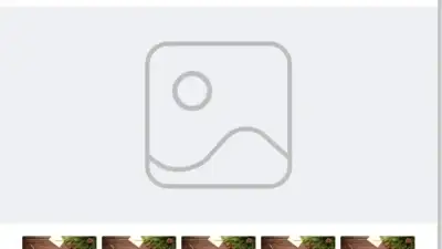 Screenshot of Non-Delivery scam website Pleased2ndhandmall.online