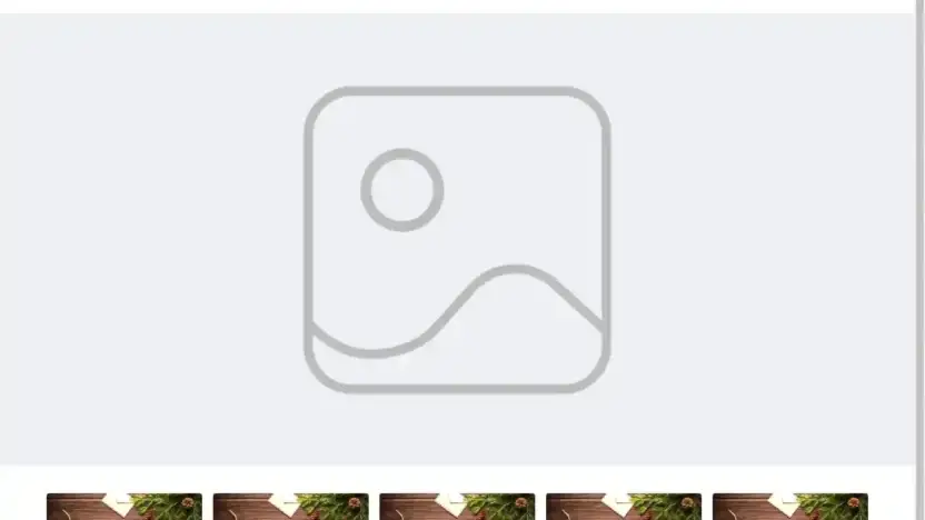 Screenshot of Non-Delivery scam website Pleased2ndhandmall.online