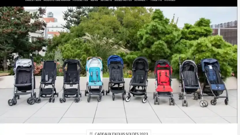 Screenshot of Non-Delivery scam website Premamanbebe.com