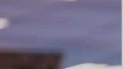 Screenshot of Container scam website Prestigecontainers.us