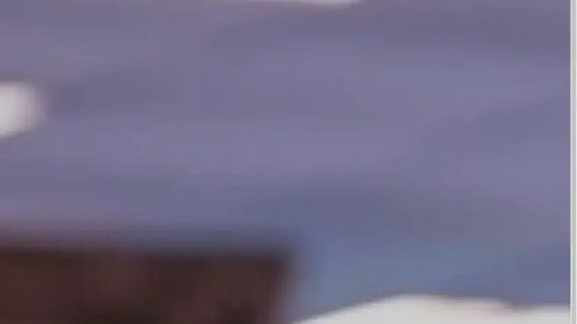 Screenshot of Container scam website Prestigecontainers.us