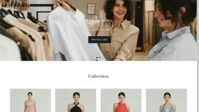 Screenshot of Non-Delivery scam website Prinicnik.com