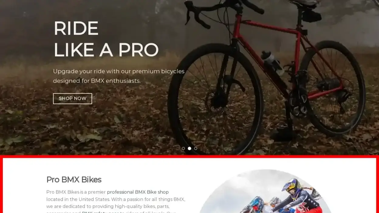 Screenshot of Sport scam website Probmxbikes.com