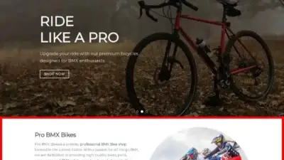 Screenshot of Sport scam website Probmxbikes.com