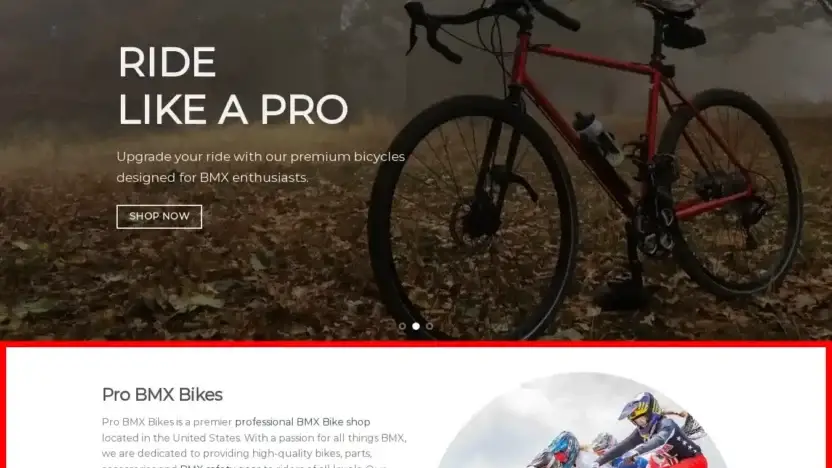 Screenshot of Sport scam website Probmxbikes.com