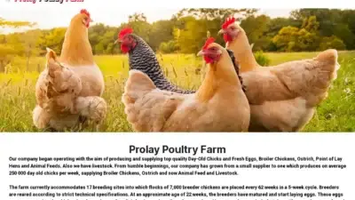 Screenshot of Non-Delivery scam website Prolaypoultryfarm.com
