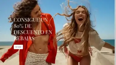 Screenshot of Non-Delivery scam website Pullandbearoutlet.shop