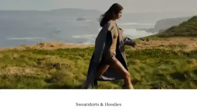 Screenshot of Non-Delivery scam website Pullvipbear.com