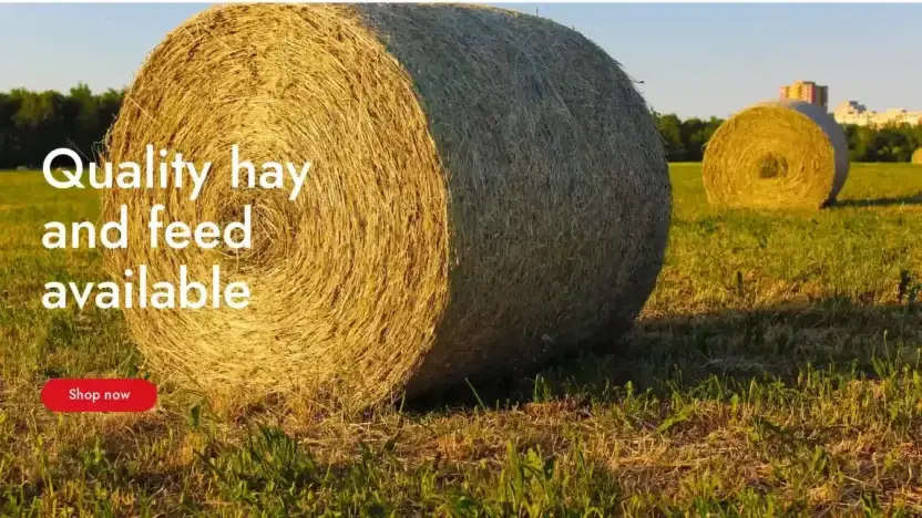 Screenshot of Non-Delivery scam website Qualityhayandfeedllc.us