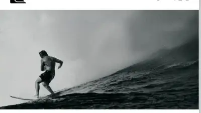 Screenshot of Non-Delivery scam website Quiksilver-us.com